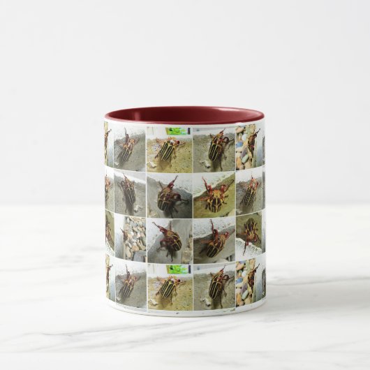 Afsluitend: June Bug Beetle Insect Foto Collage Mok (Midden)