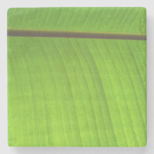 Afsluiting Banana Leaf Stenen Onderzetter