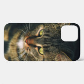 AFSLUITING FOTOGRAFIE VAN GRAY TABBY CAT Case-Mate iPhone CASE (Achterkant (horizontaal))