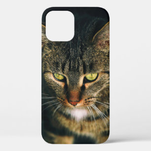 AFSLUITING FOTOGRAFIE VAN GRAY TABBY CAT iPhone 12 HOESJE