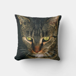 AFSLUITING FOTOGRAFIE VAN GRAY TABBY CAT KUSSEN