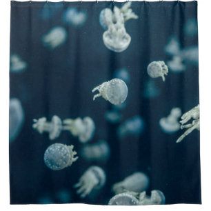 AFSLUITING FOTOGRAFIE VAN JELLYFISH DOUCHEGORDIJN