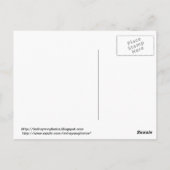 Afspeelbaar Zee Otter Briefkaart (Achterkant)