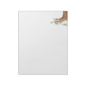 Afspeelbare oranje en witte tabby notitieblok (Gedraaid)