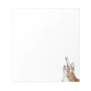 Afspeelbare oranje en witte tabby notitieblok