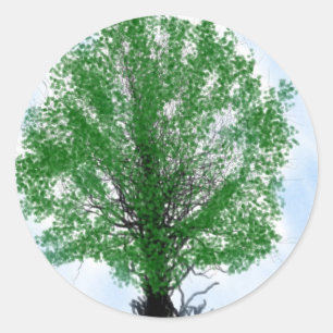 Afspeelboomblauwe tekencomputer grafisch ronde sticker