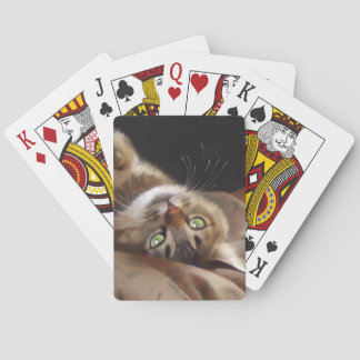 Afspeelkaart voor Kat Pokerkaarten