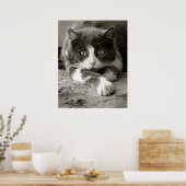 Afspeelkat zwart-wit poster (Keuken)