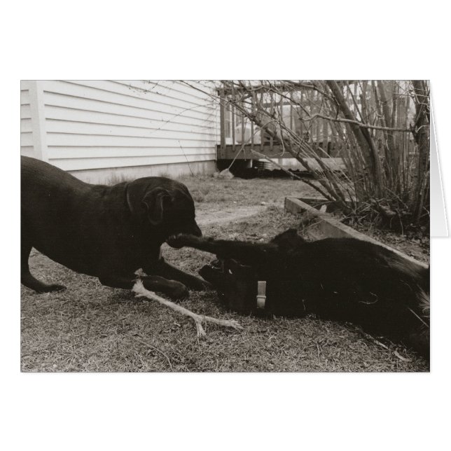 Afspeelplaten (Voorkant Horizontaal)