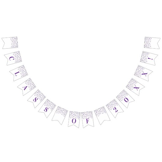 Afstudeerder Klasse Jaar Banner Paarse Silver Conf (Alle)