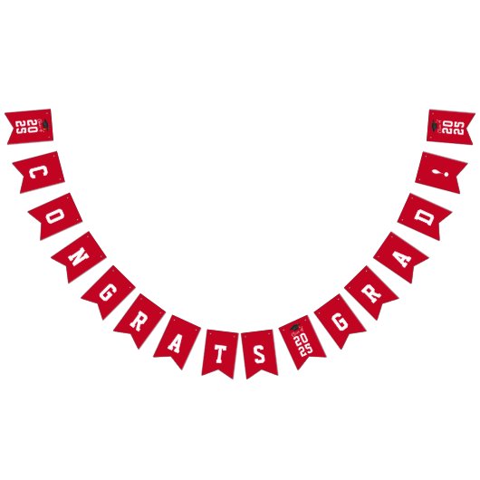 Afstuderen 2025 Gefeliciteerd Afstudeerder Rood Wi Vlaggetjes (Alle)