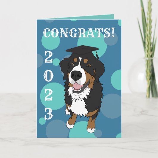 Afstuderen Bernese Mountain Dog Kaart (Voorkant)