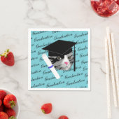 Afstuderen Cat Servet (Insitu)