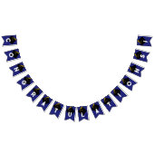 Afstuderen Congrats Blue Vlaggetjes (Alle)