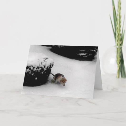 AFSTUDEREN CONGRATULATIONS KAART (Voorkant)