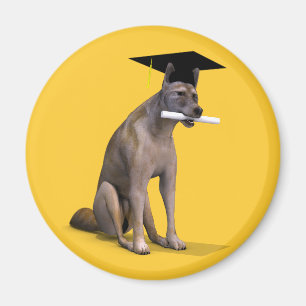Afstuderen Coyote Magneet