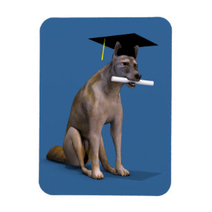 Afstuderen Coyote Magneet