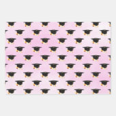 Afstuderen Day Pet en Diploma Pink Inpakpapier Vel (Voorkant)