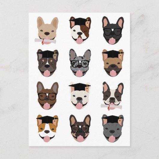 Afstuderen French Bulldog Faces Briefkaart (Voorkant)