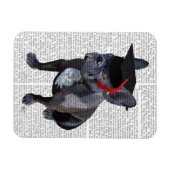 Afstuderen French Bulldog Magneet (Horizontaal)