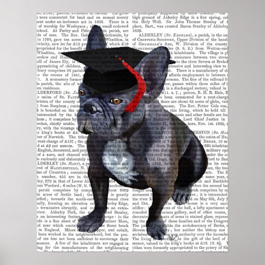 Afstuderen French Bulldog Poster (Voorkant)