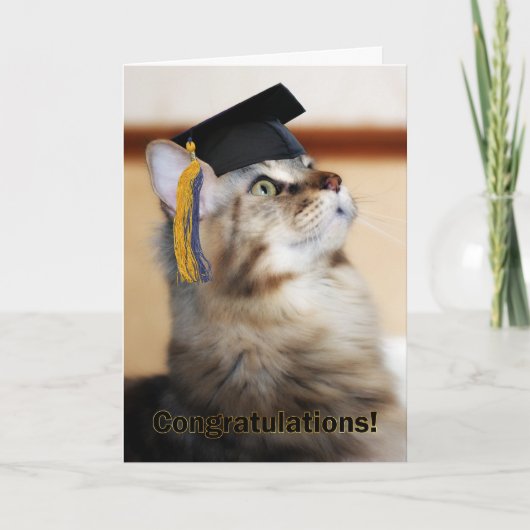 Afstuderen Gefeliciteerd Cat Dearing Mortarboard Kaart (Voorkant)