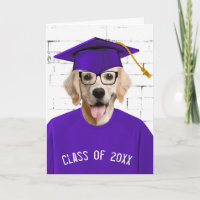 Afstuderen Golden Retriever met Paars Pet