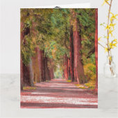 Afstuderen-kaart Kaart (Gele Bloem)