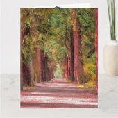 Afstuderen-kaart Kaart (Voorkant)