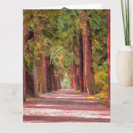 Afstuderen-kaart Kaart