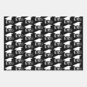 Afstuderen Klasse Jaar Afstuderen Aangepaste kleur Inpakpapier Vel (Voorkant 2)