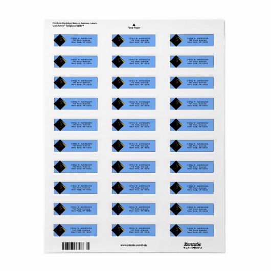 Afstuderen Light Blue Return-adreslabels Etiket (Full Sheet)