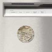 afstuderen magneet (Insitu (Vaatwasser))