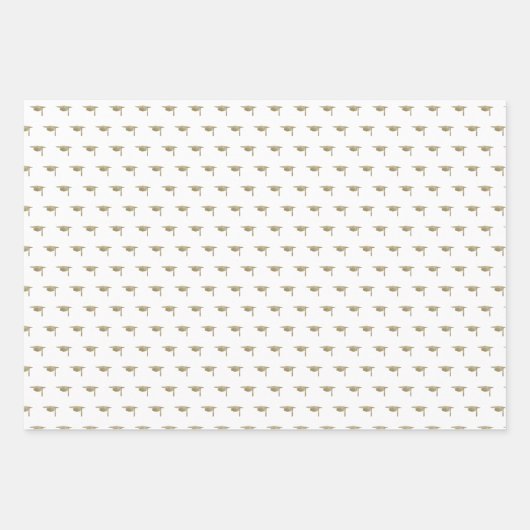 Afstuderen modern klassiek goud inpakpapier vel (Voorkant)