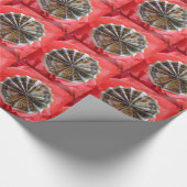 Afstuderen Money Lei Cadeaupapier (Hoek)