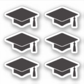 Afstuderen pet/pet stickers (Voorkant)