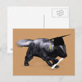 Afstuderen Skunk Briefkaart (Voorkant / Achterkant)