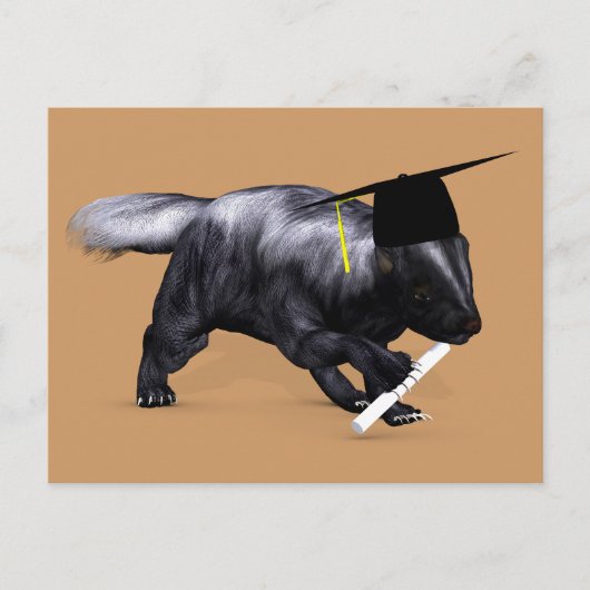 Afstuderen Skunk Briefkaart (Voorkant)