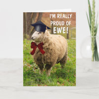 Afstuderen van Classy Sheep