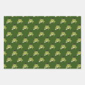 Afstuderen van vlinderkikker inpakpapier vel (Voorkant 3)