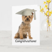 Afstuderen Yorkie Gefeliciteerd Kaart (Gele Bloem)