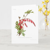 Aftappend Hart (spectablis Dicentra) Kaart (Gele Bloem)