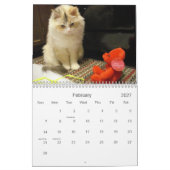 Aftelkalender 2013 kalender (Feb 2027)
