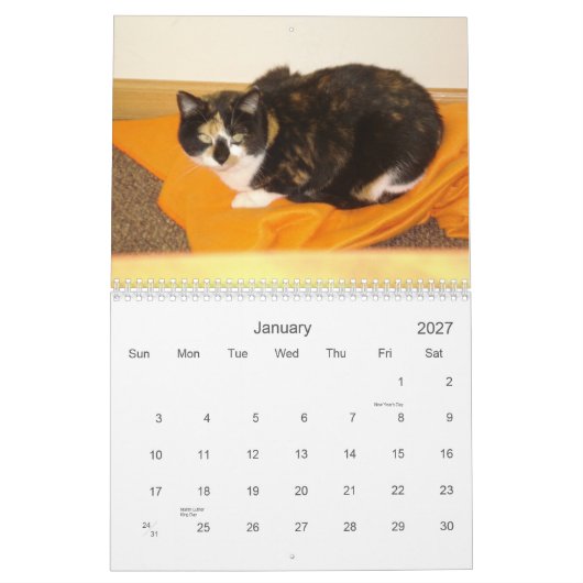 Aftelkalender 2013 kalender (Jan 2027)