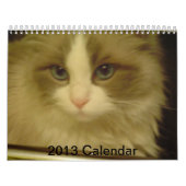 Aftelkalender 2013 kalender (Hoes)