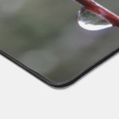 After the Rain (Coin)