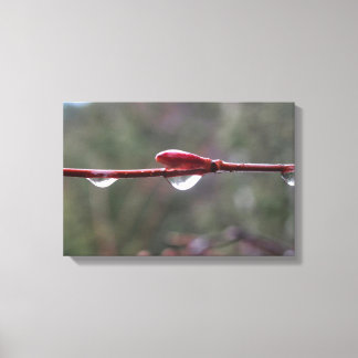 After the Rain Canvas Afdruk