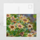 AfterBloom Briefkaart (Voorkant / Achterkant)