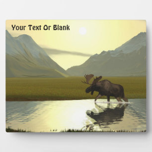 Aftermiddag Moose Fotoplaat