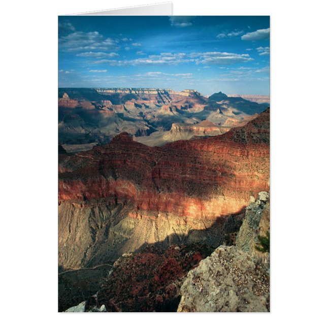 Aftermiddag Shadows (Voorkant)